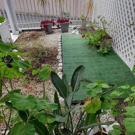 Casa Inteira 2 Dorm Minimo 3 Dias Curitiba Exterior foto