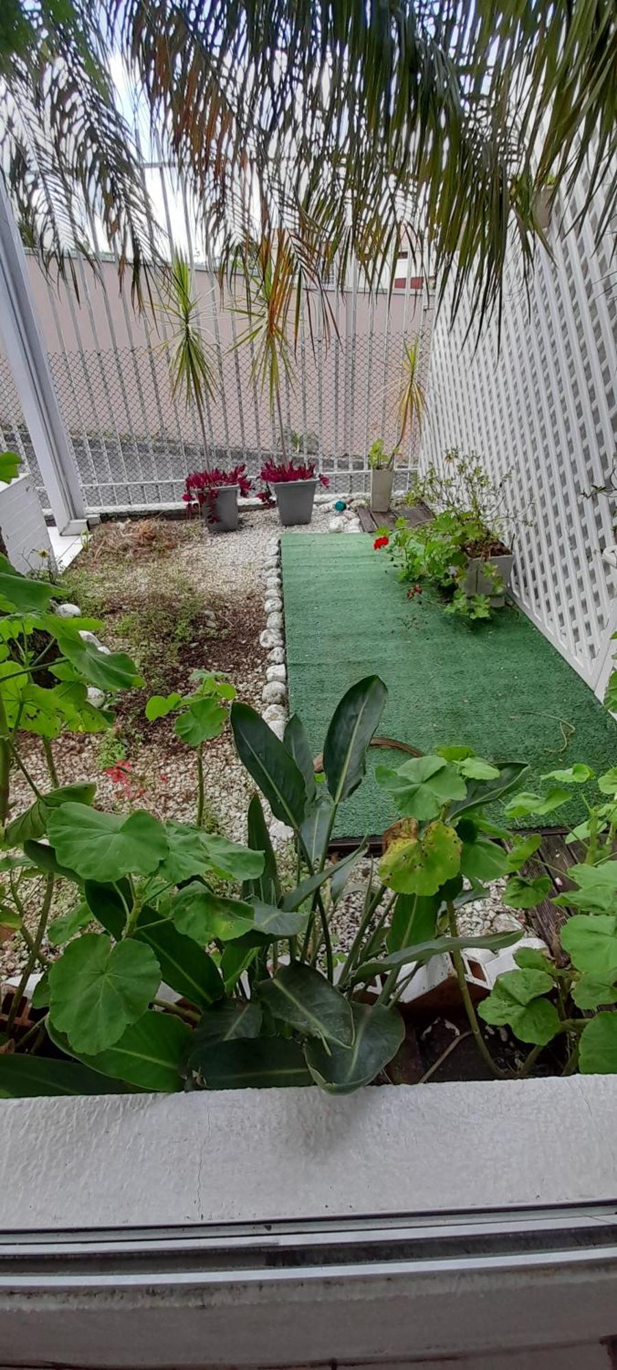 Casa Inteira 2 Dorm Minimo 3 Dias Curitiba Exterior foto